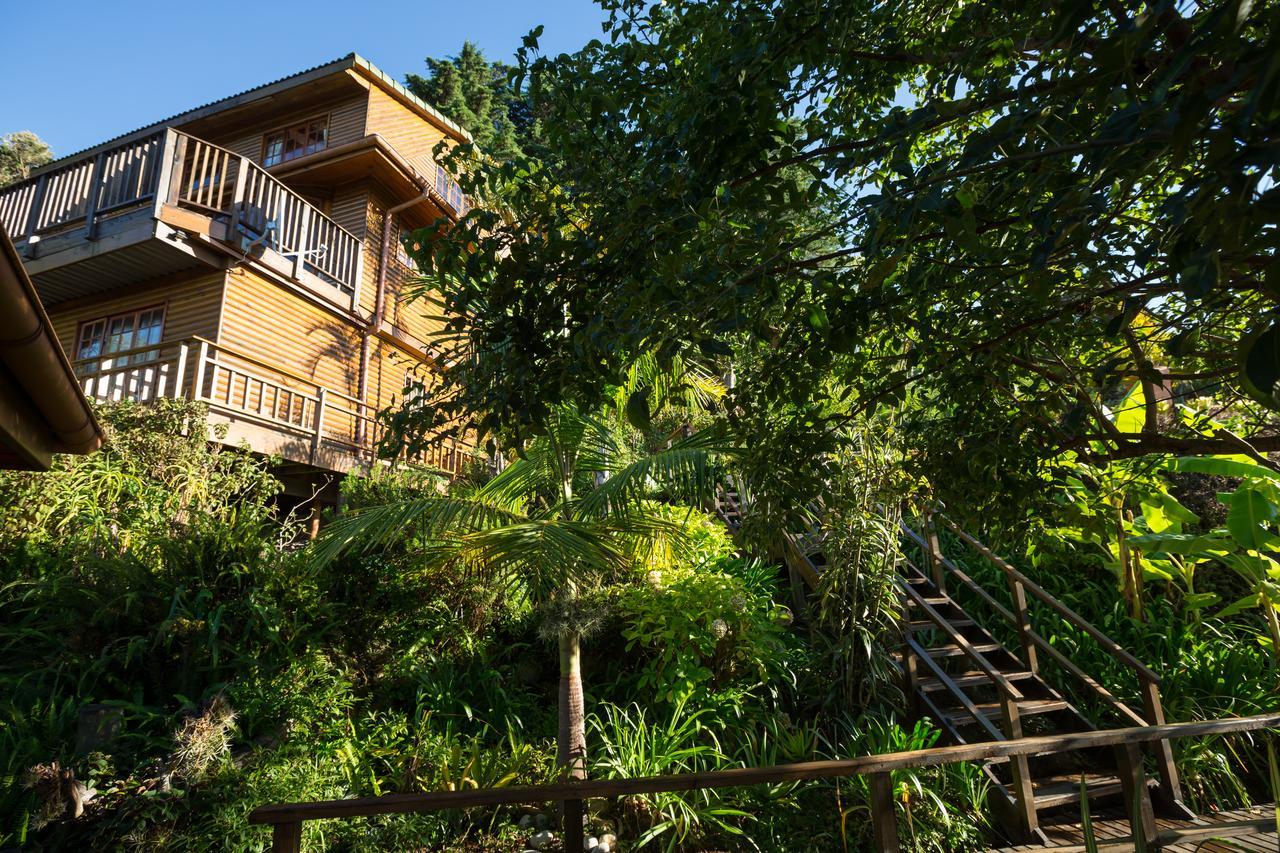 Big Tree House Lodge Knysna Exteriér fotografie