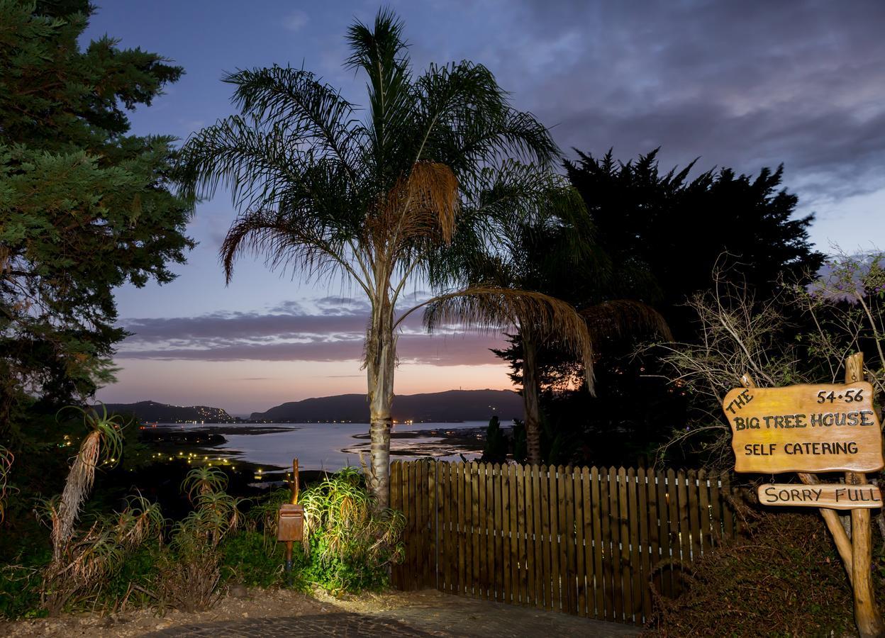 Big Tree House Lodge Knysna Exteriér fotografie