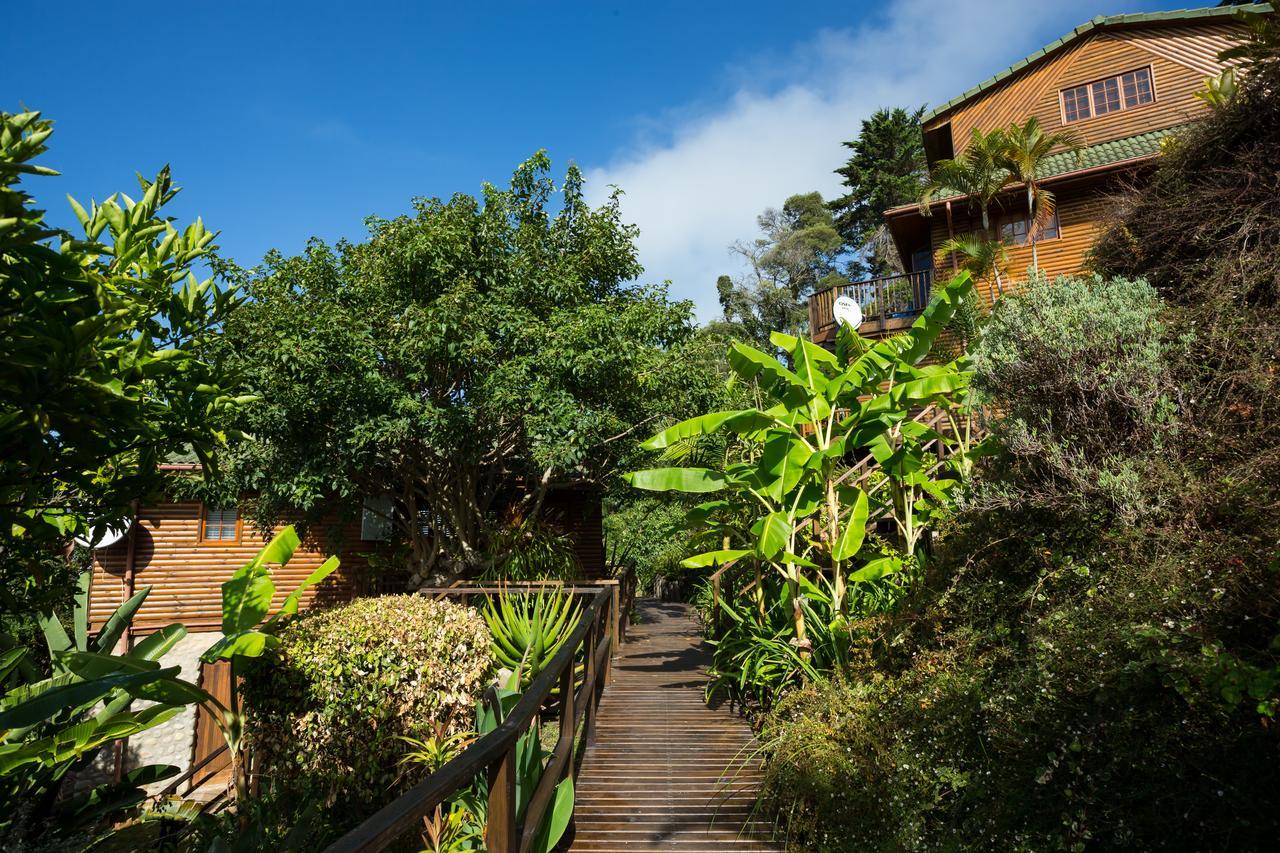 Big Tree House Lodge Knysna Exteriér fotografie