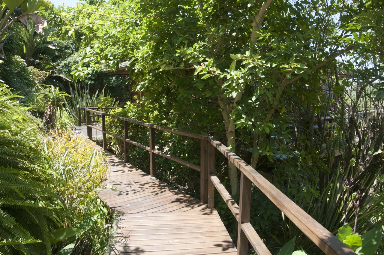 Big Tree House Lodge Knysna Exteriér fotografie