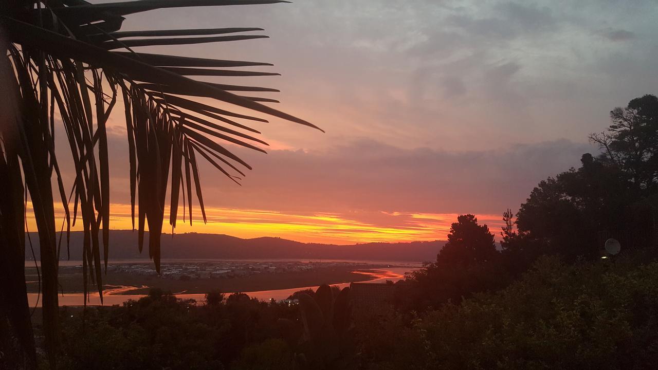 Big Tree House Lodge Knysna Exteriér fotografie