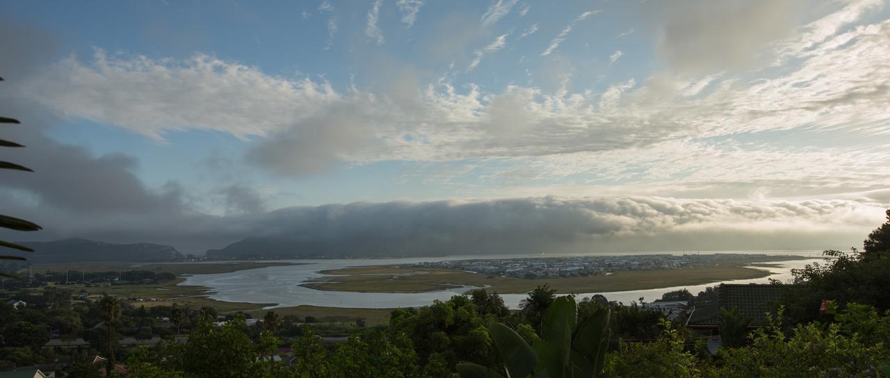 Big Tree House Lodge Knysna Exteriér fotografie
