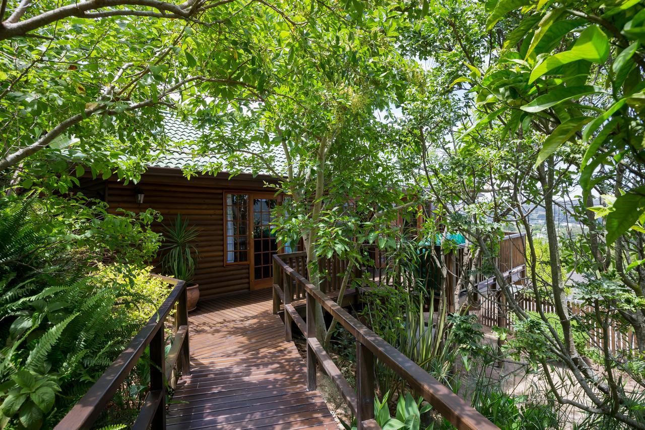 Big Tree House Lodge Knysna Exteriér fotografie