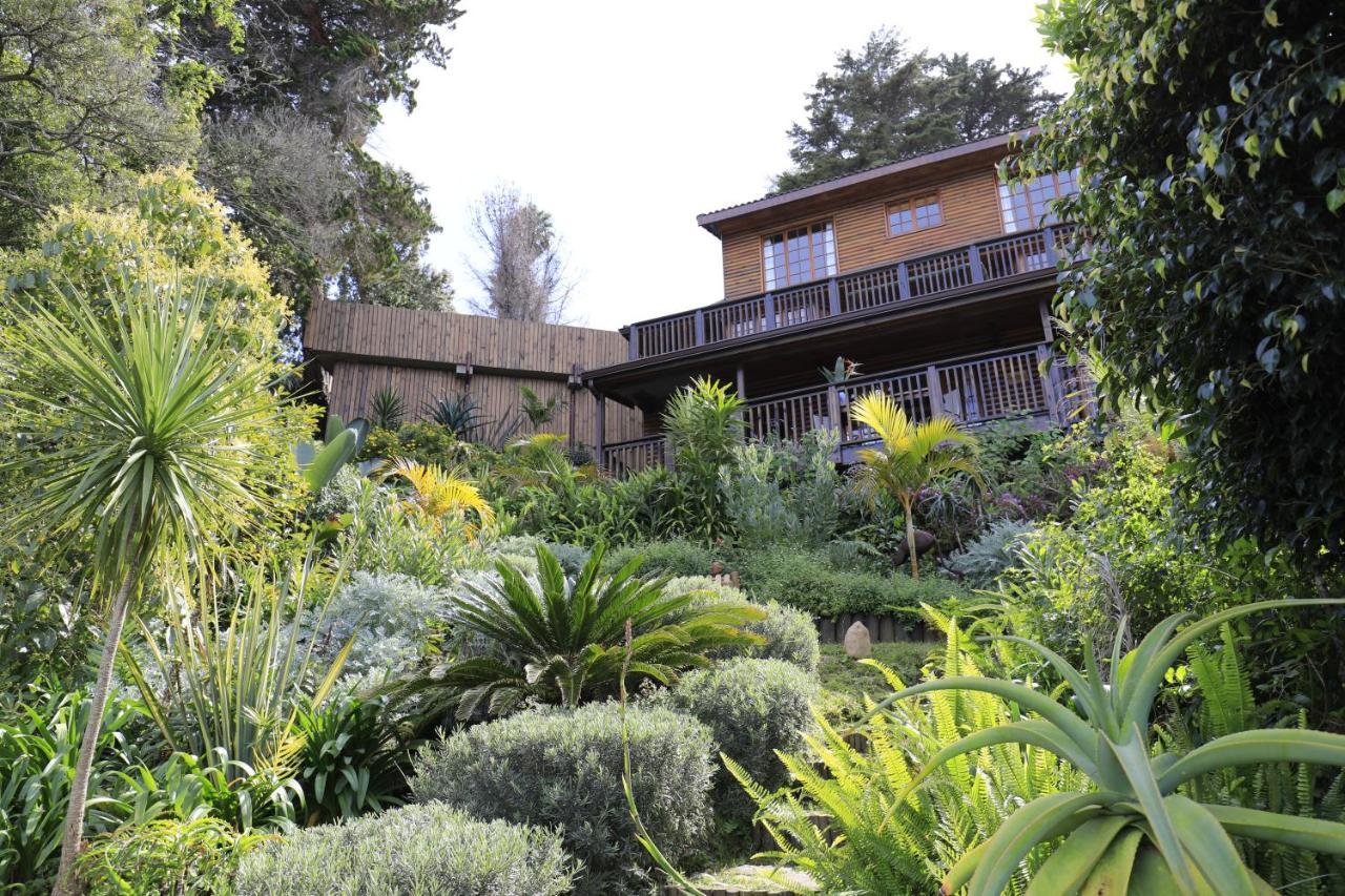 Big Tree House Lodge Knysna Exteriér fotografie